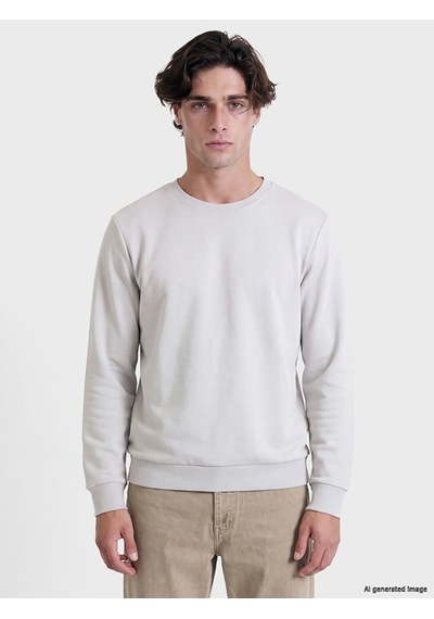 Lcwaıkıkı Classic Gri Bisiklet Yaka Erkek Kalın Sweatshirt