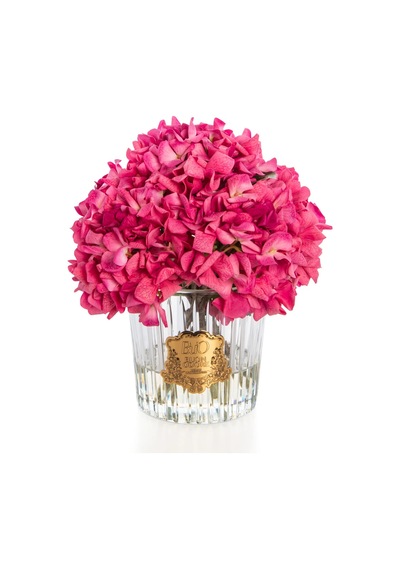 Gold Ortanca Luxury Home Perfume Acı Elma