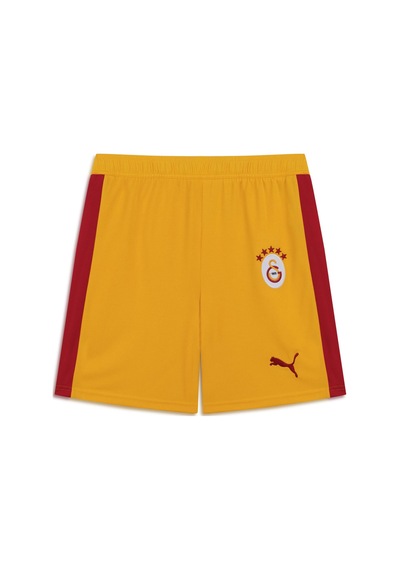 Puma Galatasaray S.k. Retro Erkek Futbol Şortu 788198 81 Sarı