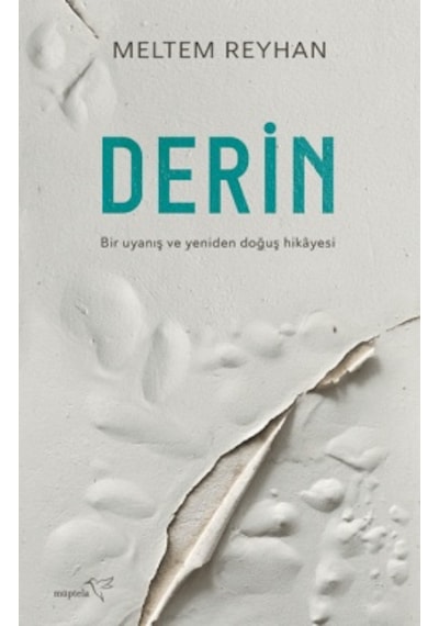 Derin + Para Ne Söyler Biz Ne Anlarız + Aile Modelleri