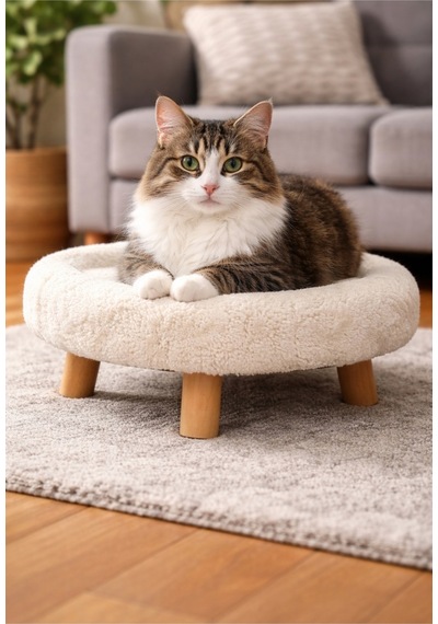 Kedi Evi Lüks Ev Ürün Ölçüleri 41 Cmdir.