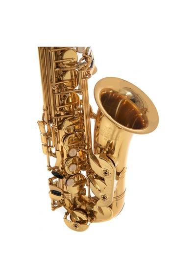 Roy Benson As-202 Alto Saksafon Başlangıç/eğitim - Eb Alto Pi