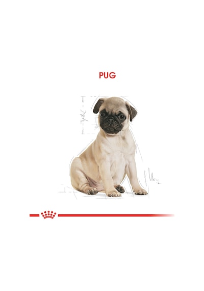 Royal Canin Pug Junior Yavru Köpek Maması 1.5 KG