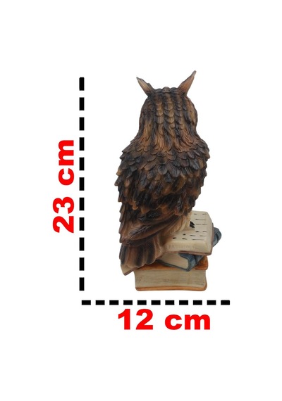 Feng Shui Kitap Üzerinde Bilge Baykuş Biblo 23 Cm Dekoratif Şans Getiren Lüks Ev Ofis Hediyesi Obje