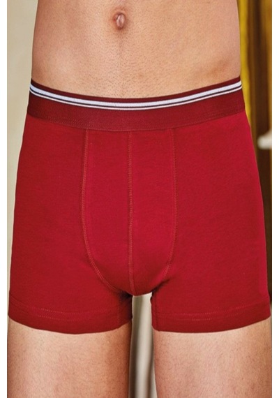 Berrak 3 Adet Bordo Renk Likralı Boxer Bordo
