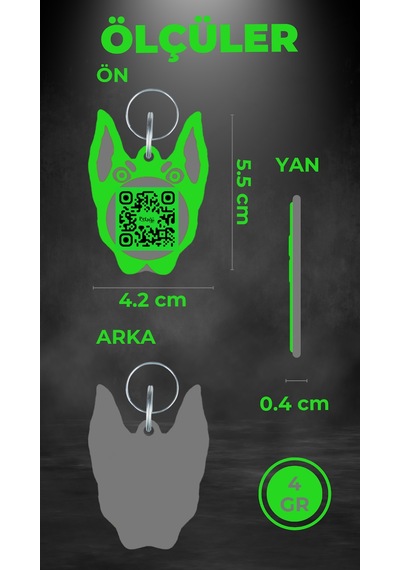 Petjoo 30.Anubis Gri-Yeşil Qr'lı Köpek Künyesi