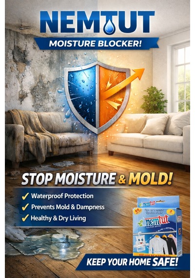 Dehumidifier Moisture Absorber Odor Remover Mold Corrosion Preventive 2 Kg 2 Box 4 Packages