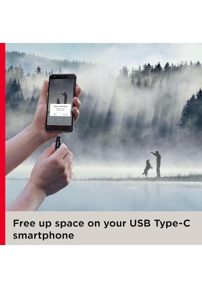Sandisk 128gb Ultra Dual Drive Go Usb Type-c Flash Drive, Flash S