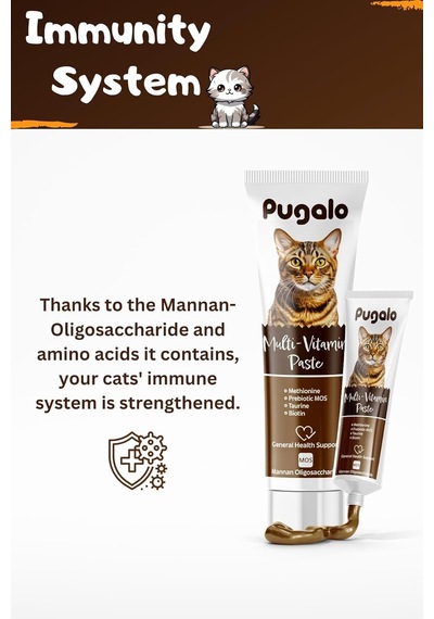 Kedi Multivitamin Paste Prebiotic Ve Biotin Katkılı Kedi Multi Vitamin Macunu 100 Ml