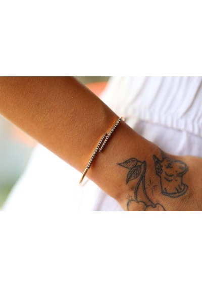 Reis Kuyumculuk T9604 Claw Brown Bangle Altın Bilezik