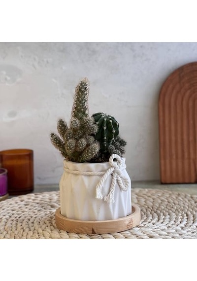 İkili Set, İskandinav Tarz Beyaz Beton Saksı - Minimal Dekoratif Saksı Seti
