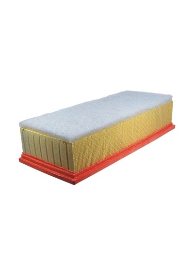 Filtron Hava Filtresi AP090/6