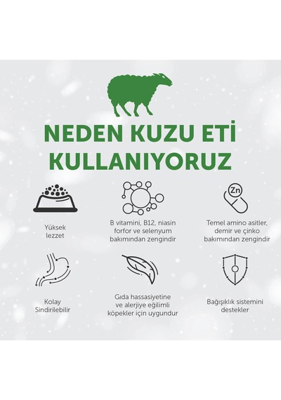 Superior Care Kızıl/kahverengi Tüylü Köpekler İçin Tahılsız Kuzulu Küçük Irk Köpek Maması 1,5 Kg