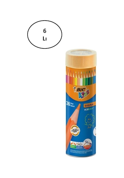 Bic Evolution Kuru Boya Kalemi 36'lı Metal Tüp 6'lı
