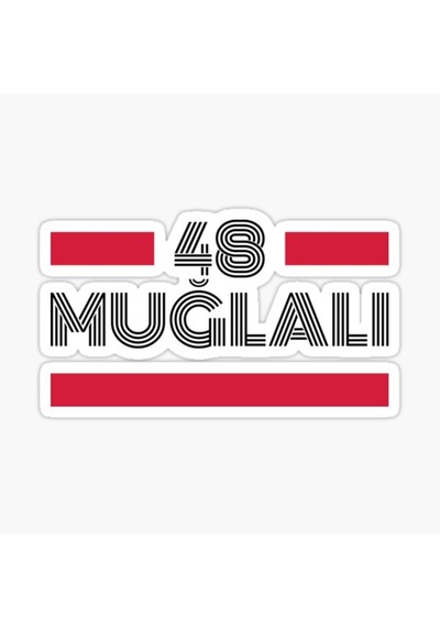48 Muğlalı Plaka Araba Sticker Yapıştırması