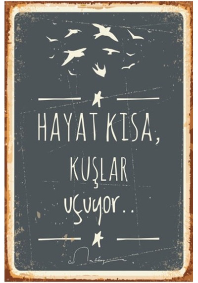 Hayat Kısa Kuşlar Uçuyor Cemal Süreya  Retro Vintage Ahşap Poster