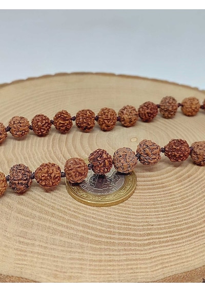 Rudraksha Tohum Düğümlü 33lük Tesbih 51622