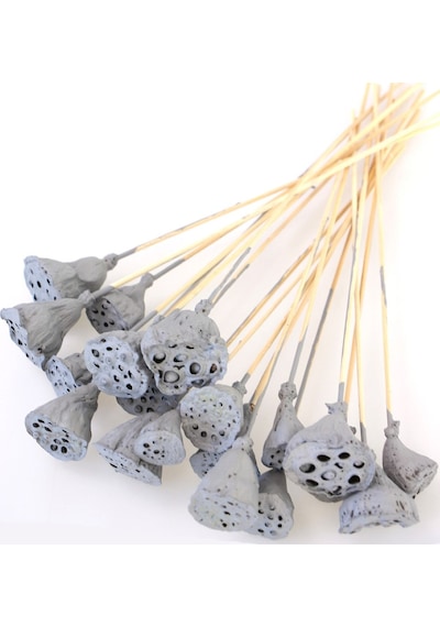 20 Adet Bambu Şiş Saplı Mini Lotus Çiçeği Plant Duman Grisi Gerçek Lotus