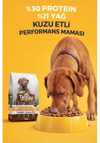 Tougy Kuzulu Yetişkin Köpek Maması 15 Kg
