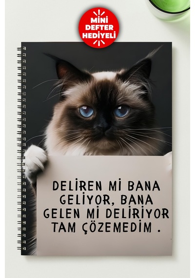 Manidar Kedi A5 Metal Spiralli Çizgisiz Karton Kapak Manidar Kedi Defter Çok Renkli