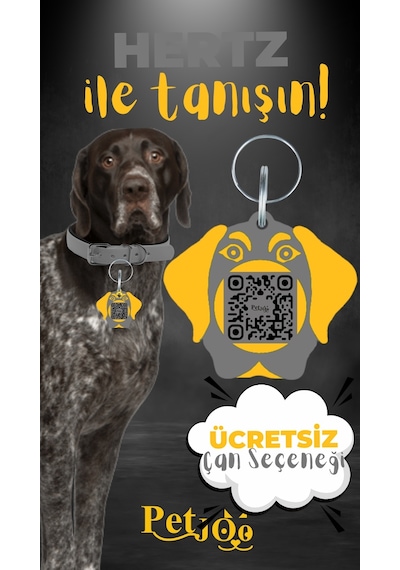 Petjoo 26.Hertz Sarı-Gri Qr'lı Köpek Künyesi