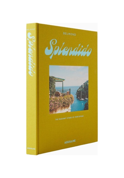 Assouline Splendido Portofino Oteli'nin Prestijli Koleksiyon Kitabı Biblo Yeşil-mavi