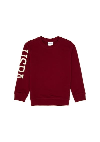 U.S. Polo Assn. Erkek Çocuk Bordo Bisiklet Yaka Basic Sweatshirt 50313831-VR014 U.S. Polo Assn. Erkek Çocuk Bordo Bisiklet Yaka Basic Sweatshirt 50313831-VR014