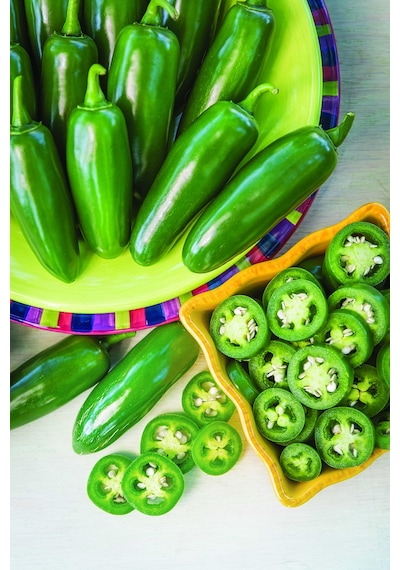 AGRodal Tarım Doğal Meksika Biberi Jalapeno Acı Biber 100 Adet Tohum