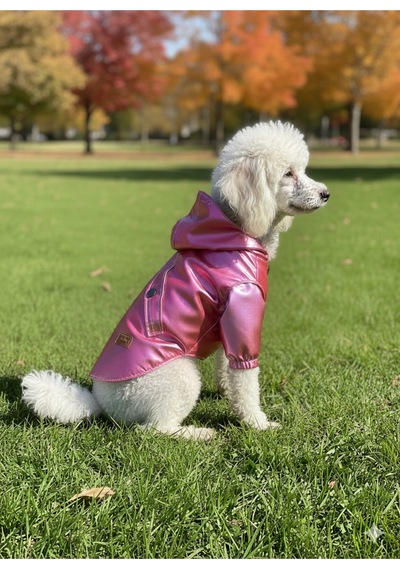 Patilinka Kedi Köpek Kışlık Kıyafet Kırmızı Kapüşonlu Yağmurluk