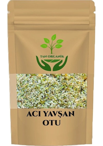 Acı Yavşan Otu Artemisia Absinthium L. Bodur Mahmut 500gr