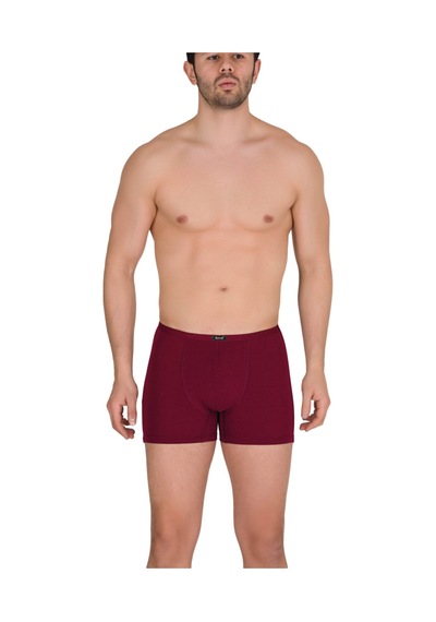 Berrak Erkek Modal Boxer Bordo