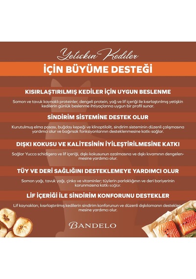 Tr Kısırlaştırılmış Somonlu Yetişkin Kuru Kedi Maması 2 Kg - Vitamin İlaveli Tam Ve Dengeli Kilo Kontrolü, Y