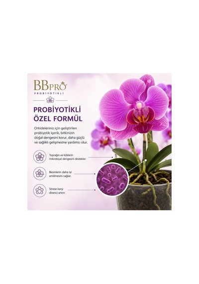 Probiyotikli Çiçek Çoşturan Sadece Orkideler İçin 400 Ml