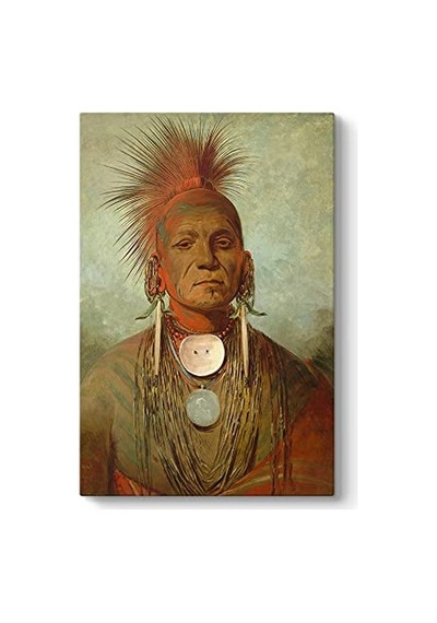 Ayrex George Catlin - Medicine Man Kanvas Tablo 30 X 45 Diğer