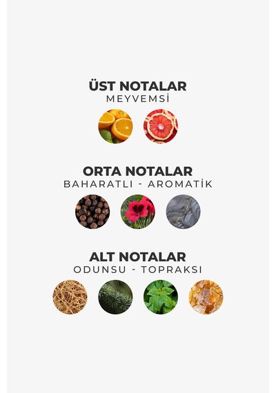 Armasari Gent Tierra Odunsu Uzun Süre Kalıcı 100 Ml Edp Erkek Parfüm