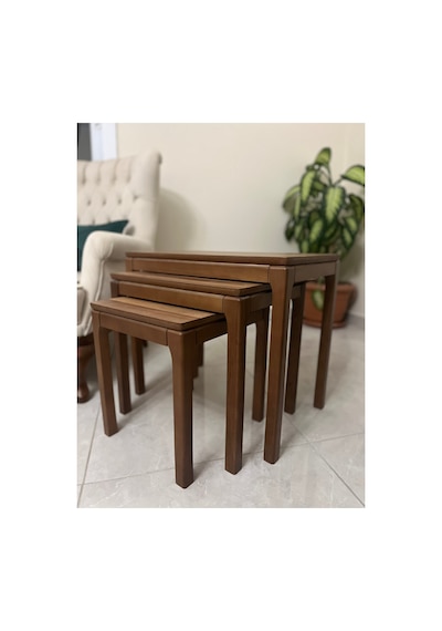 Ant Home Mono Zigon Sehpa Üçlü Lüx %100 Ağaç Lake Boyalı Sehpa Ceviz