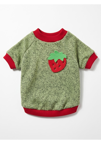 Çilek Tadında Kedi Sweatshirt Yeşil Kırmızı Sıcak Tutan Yumuşak Kedi Kıyafeti