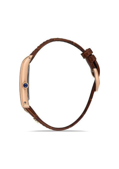 Momentus Cm365r-02kr Erkek Kol Saati-1631 Çok Renkli
