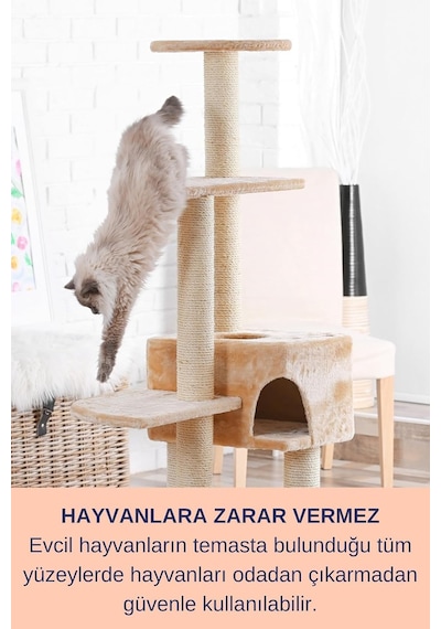 Tr Ayrex Köpek Koku Giderici Köpek Ağız Kokusu Köpek Zindelik Köpek Bakım Pet 750ml - Ağız Diş Bakım Spreyi