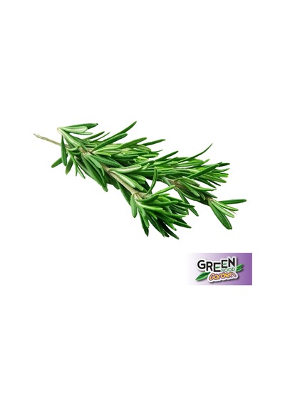 Green Food Garden Taze Biberiye 25 G