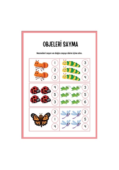 Aktivitelerle Dikkat Geliştirme Seti (3 Süper Kitap)