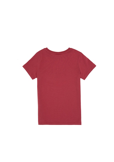 U.S. Polo Assn. Erkek Çocuk Vişne Bisiklet Yaka Tişört 50307313-VR223