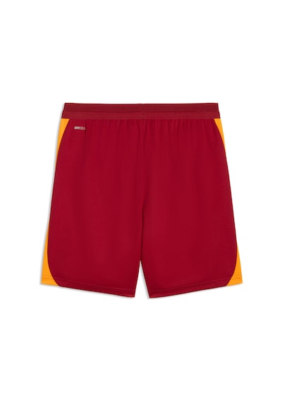Puma Galatasaray Erkek Antrenman Şortu 786812 01 Kırmızı