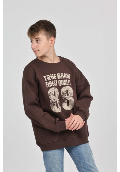 Toontoy Kids Toontoy Erkek Çocuk 88 Baskılı Sweatshirt Kahverengi