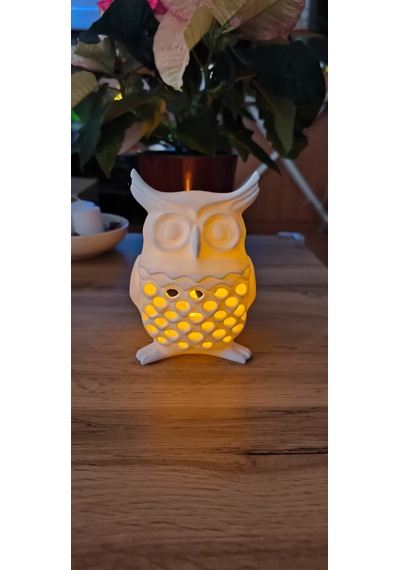 Minimalist Tasarım Baykuş Led Mumluk Ahşap Pla Doğal Malzeme ŞEFFAF