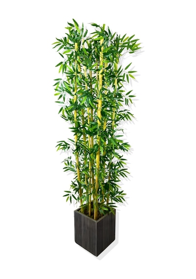 Cihan Çiçekçilik Ahşap Saksılı Yoğun Yapraklı Dekoratif Bambu Ağacı 9 Gövde 180 Cm Antrasit