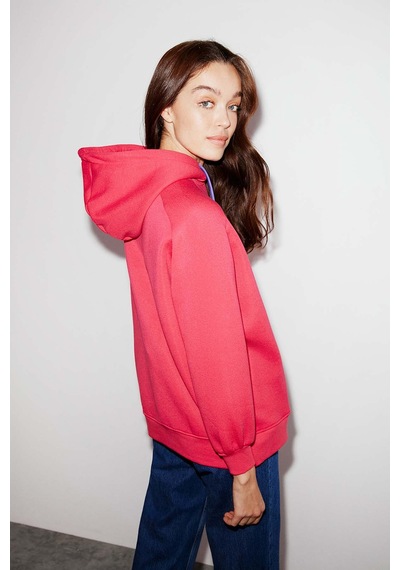 Ethıquet Polınıa Kadın İçi Polarlı Göğsü Baskılı Regular Fit Kontrast Kordonlu Kapüşonlu Pembe Sweat Mavi