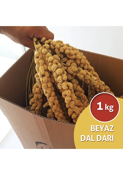 Dal Darı Net Beyaz Dal Darı 1 KG