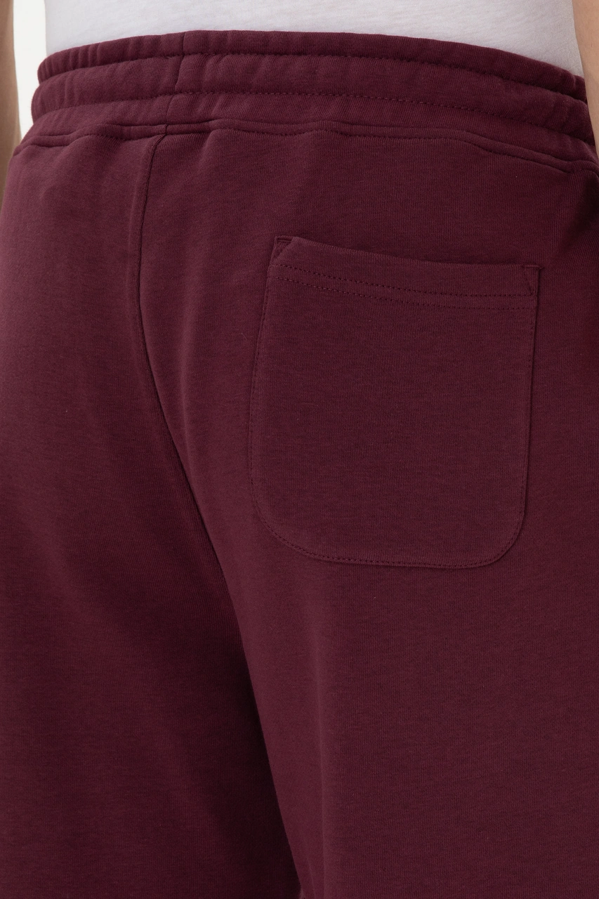 U.s. Polo Assn. Erkek Plum Eşofman Altı 50315730-vr177 New Plum