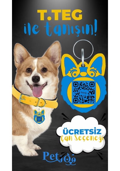Petjoo 15.T.Teg Mavi-Sarı Qr'lı Köpek Künyesi